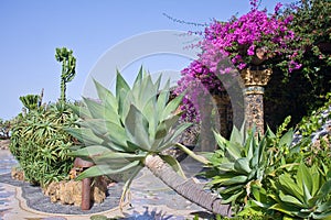 Plaza Glorieta at La Palma, Canary Islands photo