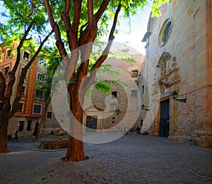 Plaza In Gothic Quarter