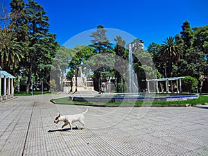 Plaza Independencia with fountain, Mendoza photo