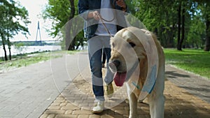 Pleasant boy holding his dog on the lead