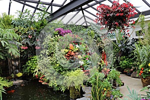 A pleasant corner in a greenhouse near a pond surrounded by tropical plants