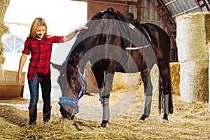 Pleasant little schoolgirl coming to stable and seeing dark horse