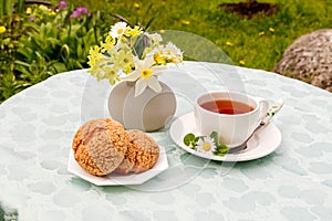 Pleasant pastime with a cup of tea in the fresh air in the garden.