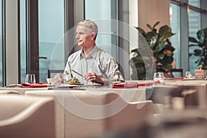 Pleasant retired man having a tasty lunch in a restaurant