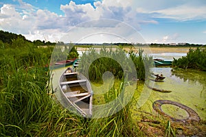 Pleasant rural landscape with little old wooden craft fishing boats or punts at a lake shore in rich green grass and bulrush