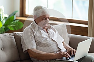 Pleasant senior 70s man sitting on sofa with computer.