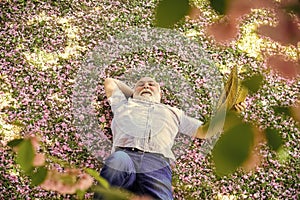 Pleasant spring day. man under cherry blooming tree. old man enjoy spring nature. senior man with gray beard in straw