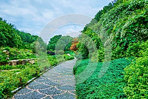 The pleasant stroll on the alley along the lush greenery of Sofiyivsky Park, Uman, Ukraine