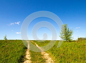 Pleasant sunny summer landscape: old blue sky and clouds, green grass, yellow dandelion flowers on a meadow and country road. A