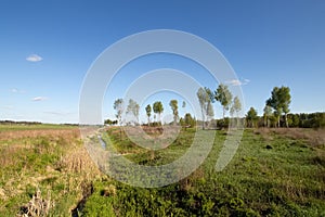 Pleasant sunny summer landscape: old blue sky and clouds, green grass, yellow dandelion flowers on a meadow and country road. A