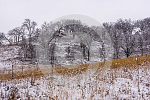 Pleasant Valley Conservancy