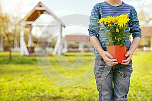 Pleasant young boy holding flowers