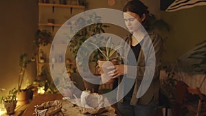 A pleasant young girl examines aloe in a clay pot in a room with a glowing garland on the window and many indoor plants