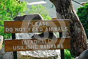Please do not feed animals