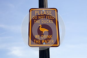 Please do not feed the ducks