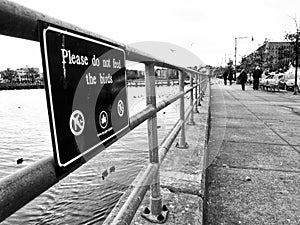 `Please don`t feed the birds` sign in Brooklyn