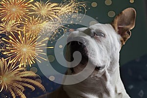 Please don`t throw firecrackers I`m afraid