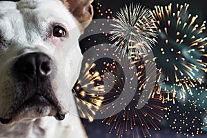 Please don`t throw firecrackers I`m afraid