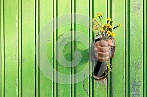 Please excuse me! a nice way to apologize by offering a bouquet of yellow wildflowers from a hole in a metal container