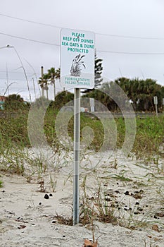Please keep off dunes sea oats & dune protected Florida Statute