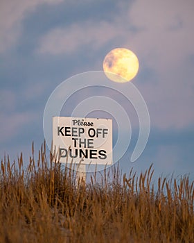 Please keep off the dunes sign in beach grass, as a full moon rises in the background. Fire Island, New York.