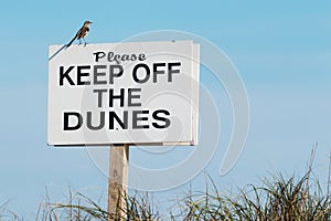 Please Keep Off The Dunes sign with a bird on it