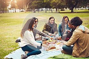 Please pass the salt. a group of cheerful young friends having a picnic together outside in a park during the day.