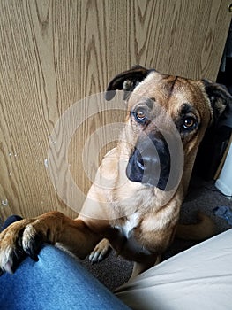 Please pay attention to me