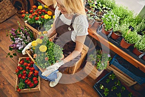 Pleased lady sitting on a wooden crate