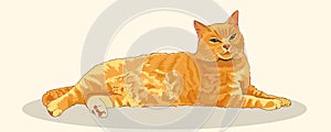 Pleased with striped red cat stretched his full height. Imposing posture. Cat lying and resting. Favorite pets. Realistic vector photo
