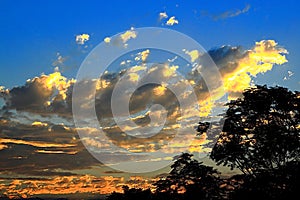 Pleasing golden cloudscape with burning clouds and tree silhouettes before sunrise