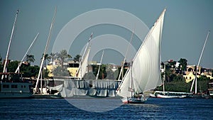 Pleasure boat floats on the waves of the Red Sea on the background of coast and beaches in Egypt.