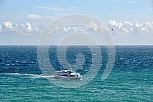 Pleasure Boat and Seagulls in Gurzuf Bay