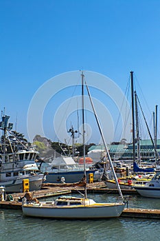 Pleasure boats and fishing boats in a marina in northern California