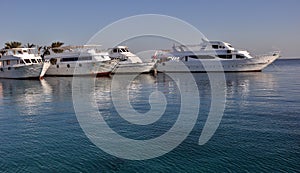 Pleasure boats in the Red Sea. Glare and reflection.