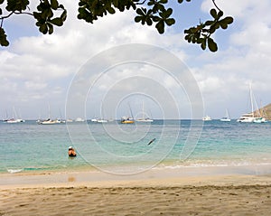 Pleasure craft in the caribbean