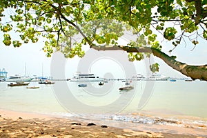 Pleasure cruise boats moored by the beach