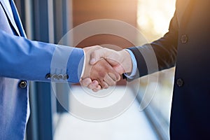 Pleasure meeting you. two businesspeople shaking hands.