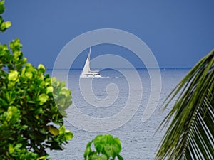 Pleasure sailboat on ocean