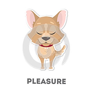 pleasured dog.