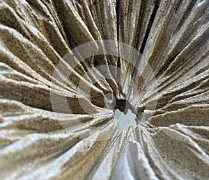 Pleat texture sculpture