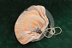 Pleated purse