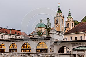 Plecnik arcade market building and the Cathedral in Ljubljana, Sloven