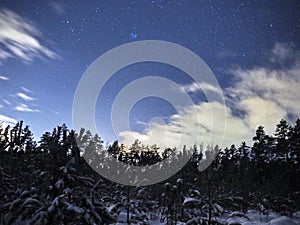 Pleiades open star cluster on night sky and clouds over winter forest
