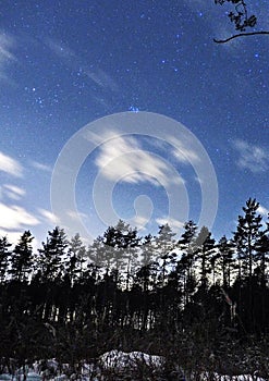 Pleiades open star cluster on night sky and clouds over winter forest