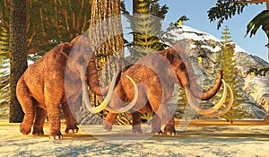 Pleistocene Period of North America Columbian Mammoths