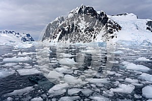 Pleneau Bay in the Lamaire Channel - Antarctica