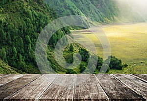 Plentifully tropical rain forest on mountain hills landscape in the morning, with wood floor