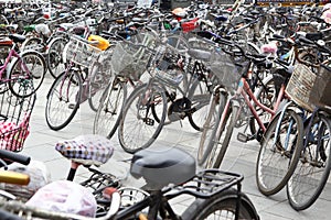 Plenty bicycles photo