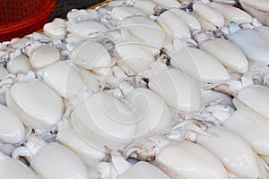 Plenty of fresh cuttlefish / squid at the market for sell